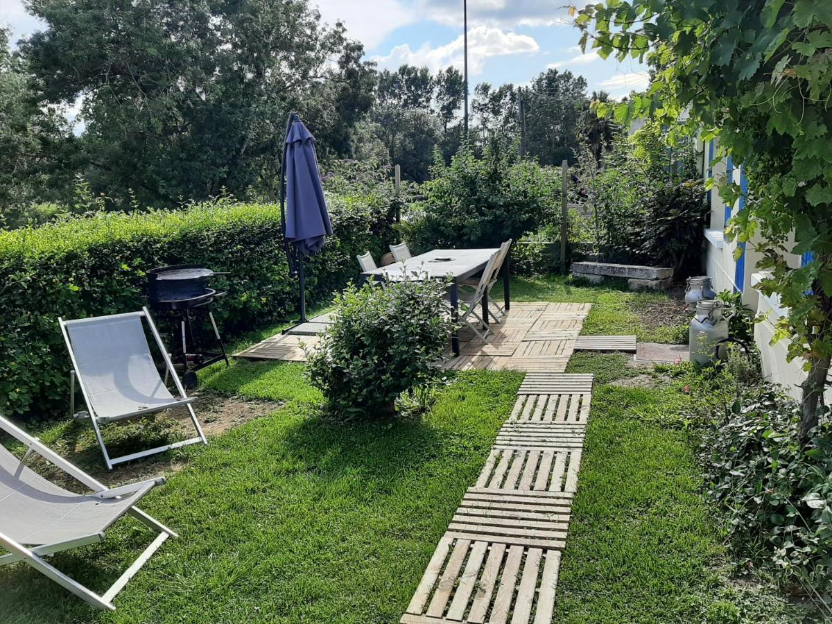 Le Logis Du Heron Coulon Exteriör bild