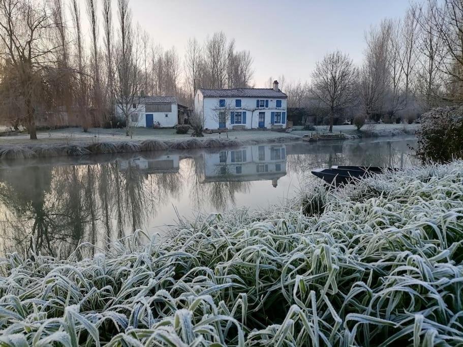 Le Logis Du Heron Coulon Exteriör bild